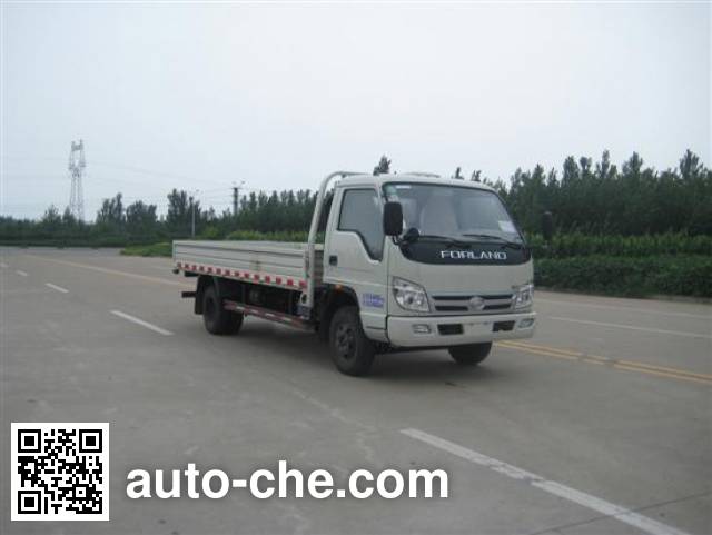 Foton BJ1043V8JBA-A1 cargo truck