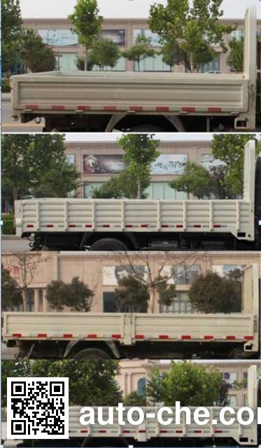 Foton BJ1046V8PBA-BV cargo truck