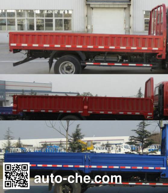 Foton BJ1049V9JEA-3 cargo truck