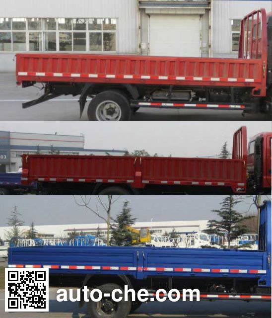 Foton BJ1043V9JDA-AC cargo truck