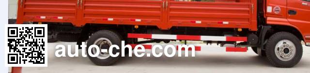Shenyu DFS1168GL1 cargo truck