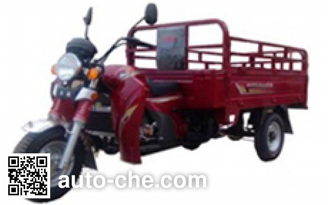 Dayun DY250ZH-A cargo moto three-wheeler