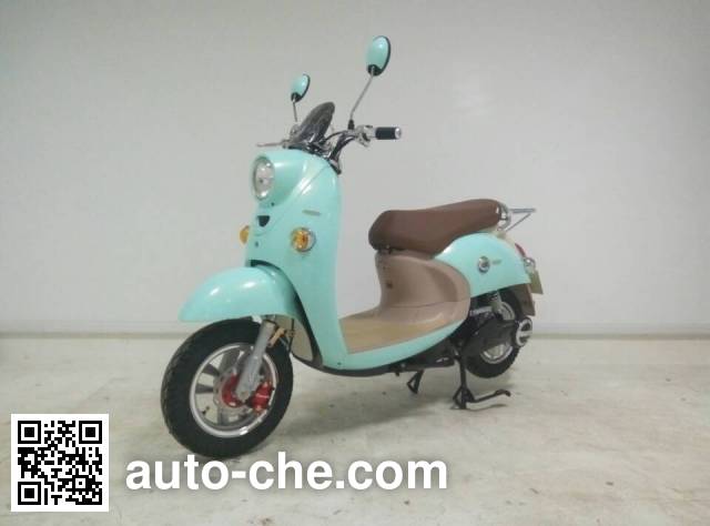 Luyuan LY1500DT-2 electric scooter (EV)