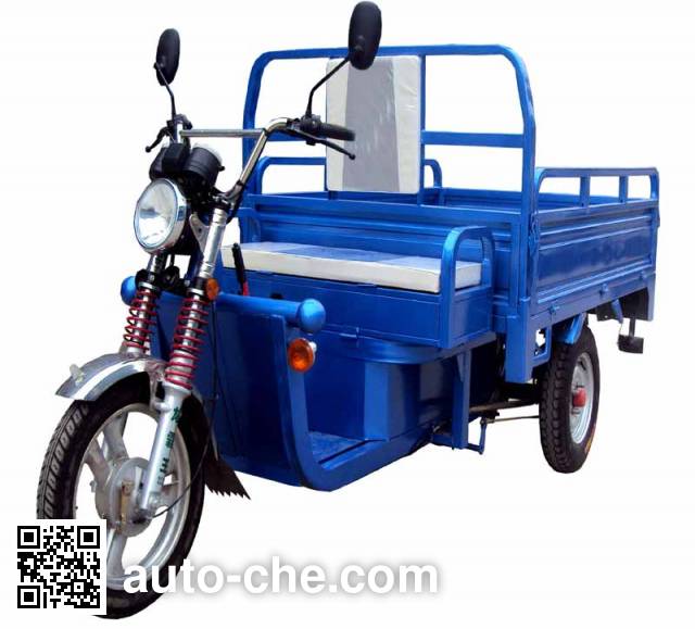 Fuxinyang XY3000DZH-A electric cargo moto three-wheeler