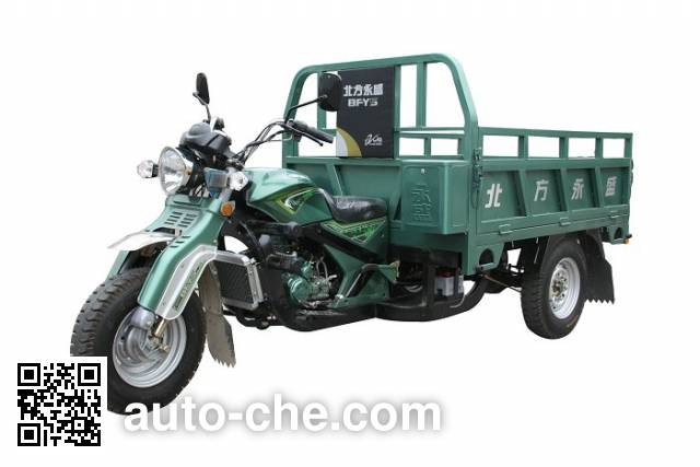 Yuyongsheng YYS250ZH cargo moto three-wheeler