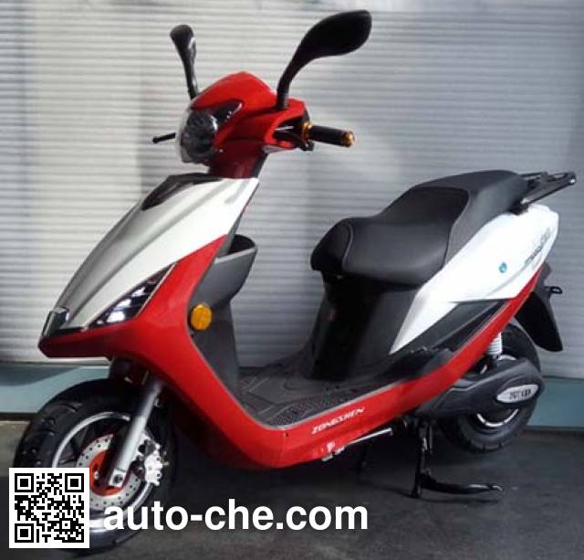 Zongshen ZS3000DT electric scooter (EV)