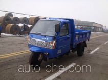 Shifeng 7YPJ-1150D5 dump three-wheeler