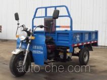 Dabieshan 7YZ-630 three-wheeler (tricar)