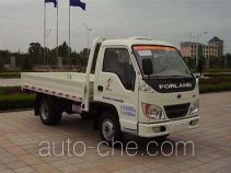 Foton BJ1020V3JV3-S cargo truck