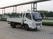 Foton BJ1041V9JDA-BA cargo truck