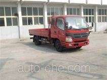 Foton BJ1041V9PD6-FA cargo truck