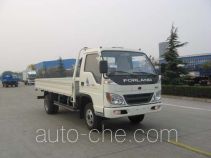 Foton BJ1053VBJEA-S cargo truck