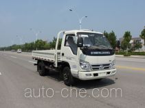 Foton BJ1043V9JBA-M5 cargo truck