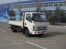 Foton BJ1043V9JEA-L3 cargo truck