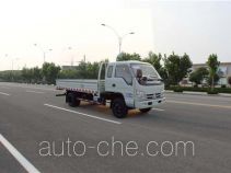 Foton BJ1043V9PEA-L1 cargo truck