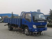Foton BJ1043V9PFA-S1 cargo truck
