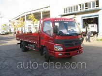 Foton BJ1049V9JEA-FA cargo truck