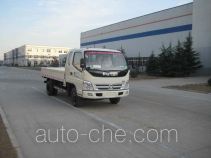 Foton BJ1049V9PD6-AA cargo truck