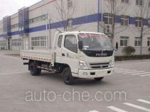 Foton BJ1049V9PDA-1 cargo truck