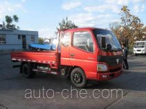 Foton BJ1049V9PEA-FA cargo truck