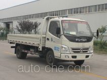 Foton BJ1059VBJEA-FN cargo truck