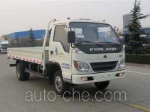 Foton BJ1063VCJEA-S1 cargo truck