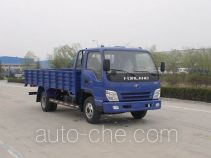 Foton BJ1063VCJEA-S2 cargo truck