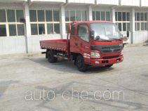 Foton BJ1069VDPEA-FB cargo truck