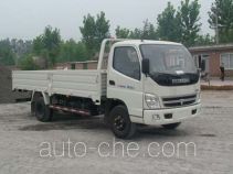 Foton BJ1071VCJFA-S cargo truck