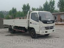 Foton BJ1071VCJFA-S cargo truck