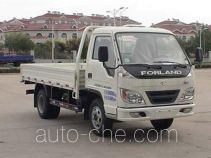 Foton BJ1073VEJB4-S cargo truck