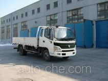 Foton BJ1089VEPEA-FB cargo truck