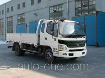 Foton BJ1089VEPEA-FB cargo truck