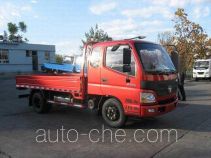 Foton BJ1089VEPEA-FD cargo truck