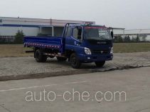 Foton BJ1089VEPEA-FF cargo truck