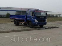 Foton BJ1089VEPEA-FF cargo truck