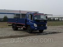 Foton BJ1099VEJED-FB cargo truck