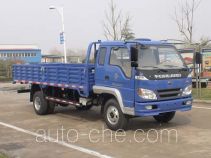 Foton BJ1103VEPED-S cargo truck