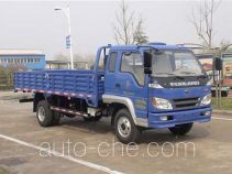 Foton BJ1103VEPED-S cargo truck