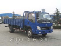 Foton BJ1103VEPFA-S cargo truck