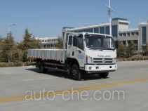 Foton BJ1103VGPEA-A2 cargo truck