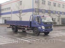 Foton BJ1109VEPFG-2 cargo truck