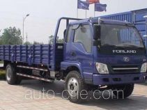 Foton BJ1120VHPFK-S cargo truck