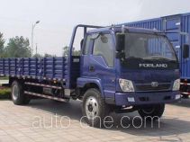 Foton BJ1120VHPHK-S cargo truck
