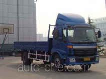 Foton Auman BJ1123VHPGG cargo truck