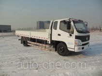 Foton BJ1139VJPEK-F2 cargo truck