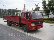 Foton BJ1139VJPEK-FA cargo truck