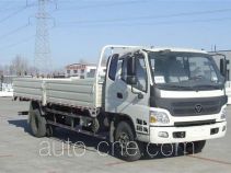 Foton BJ1139VJPEK-FD cargo truck