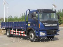 Foton BJ1143VJPEK-1 cargo truck