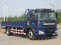 Foton BJ1143VJPEK-1 cargo truck